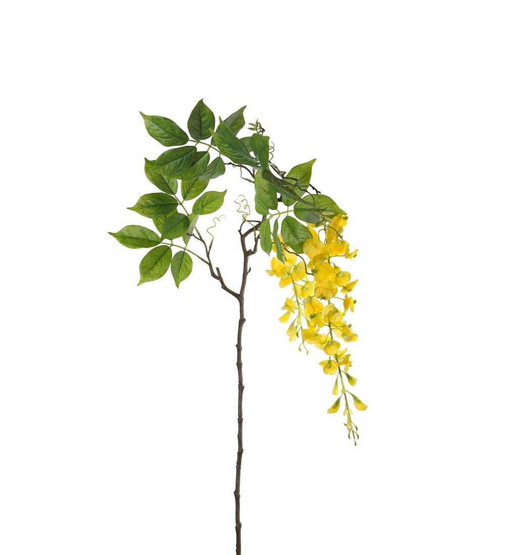 Visteria 100 cm