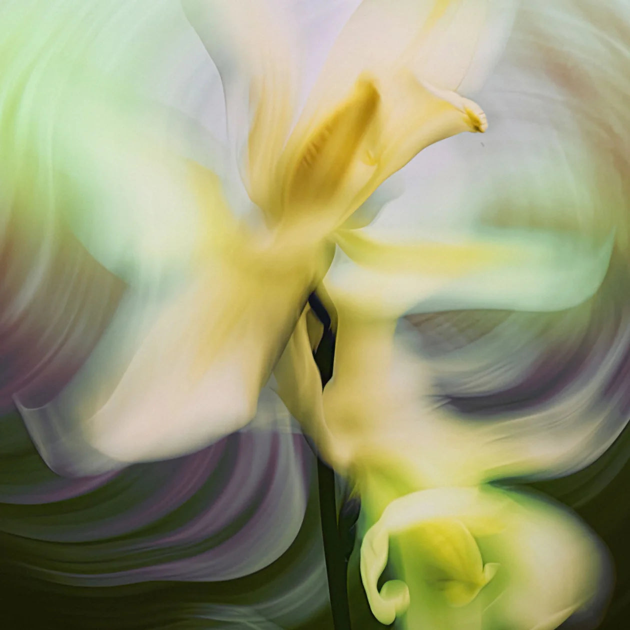 Mantle - The High Road Perfume Oil MANTLE X CRA-YON