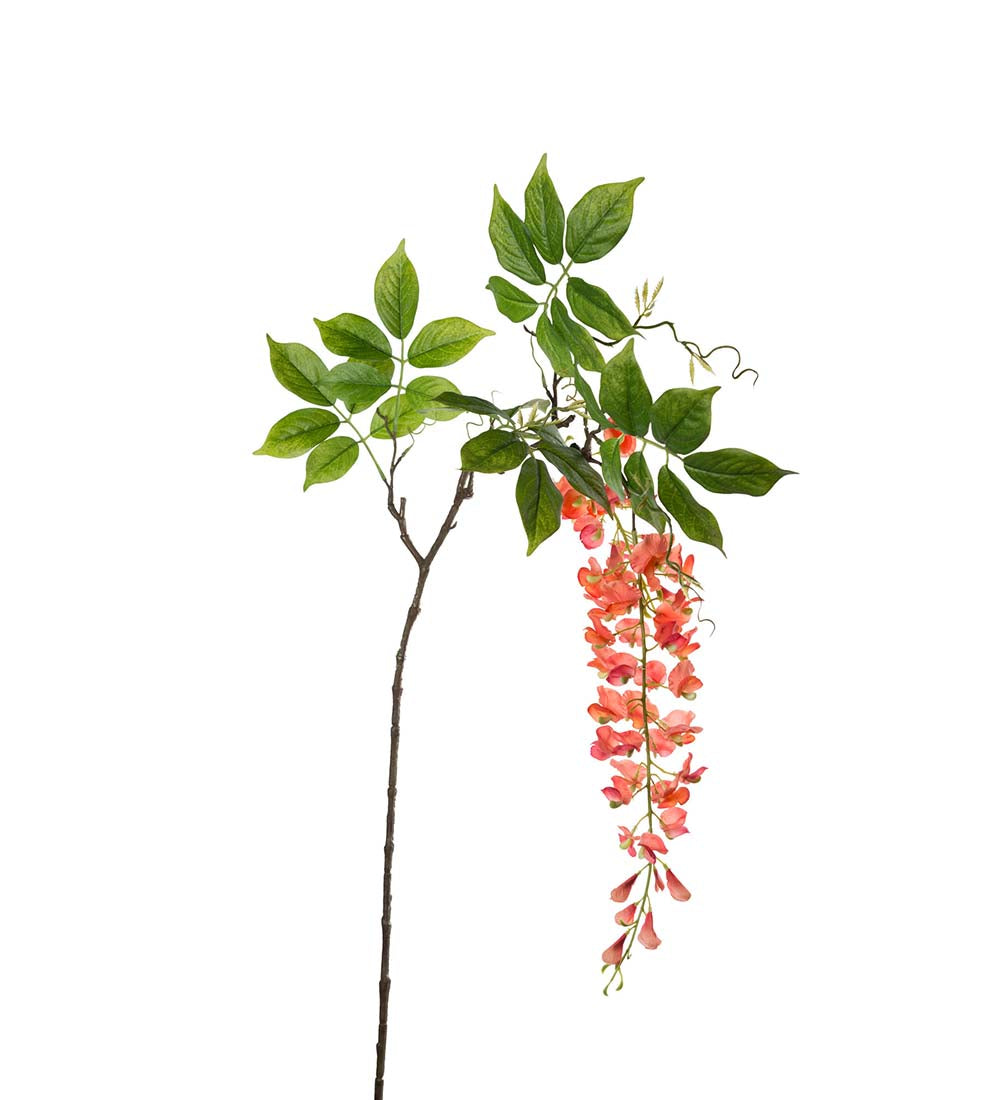 Visteria 100 cm