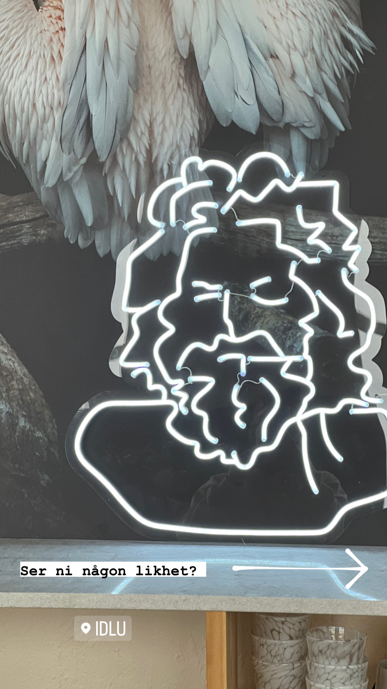 IDLU NEON GUBBE